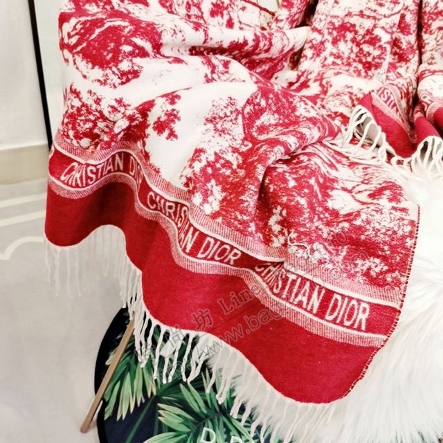 Dior圍巾 最新專櫃主打款 叢林系列羊絨圍巾 迪奧女羊絨披肩毯  llwj7061